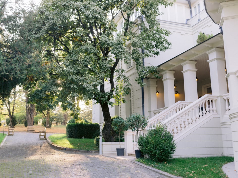 Vazisubani Estate, how it began