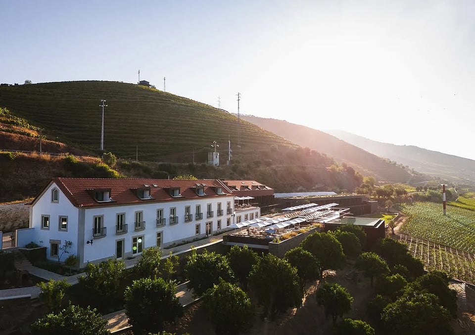 Torel Quinta da Vacaria - Douro Valley, how it began