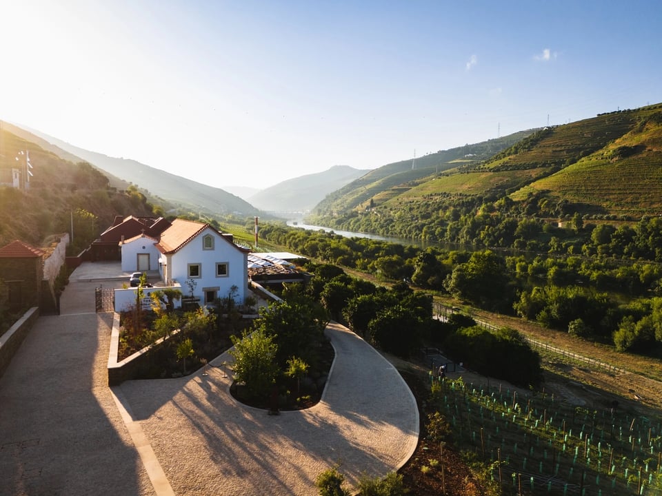 Torel Quinta da Vacaria - Douro Valley, how it began
