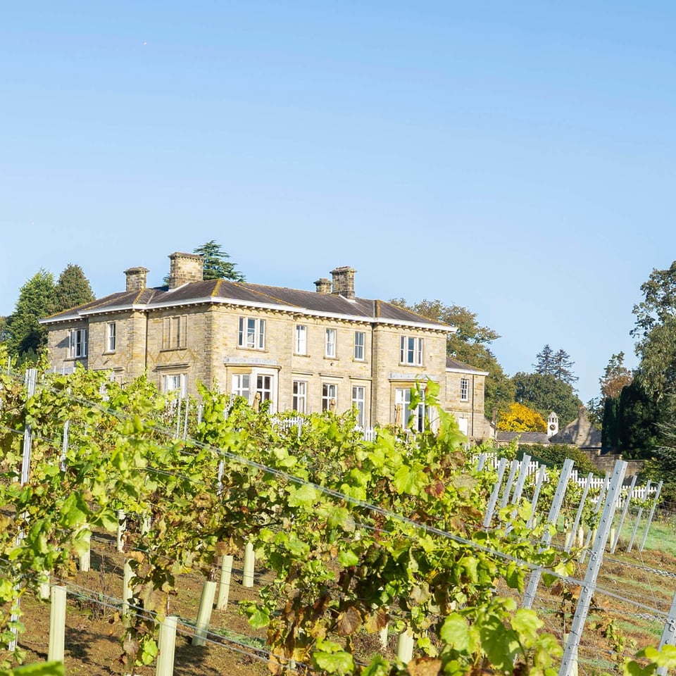 Leonardslee House, how it began