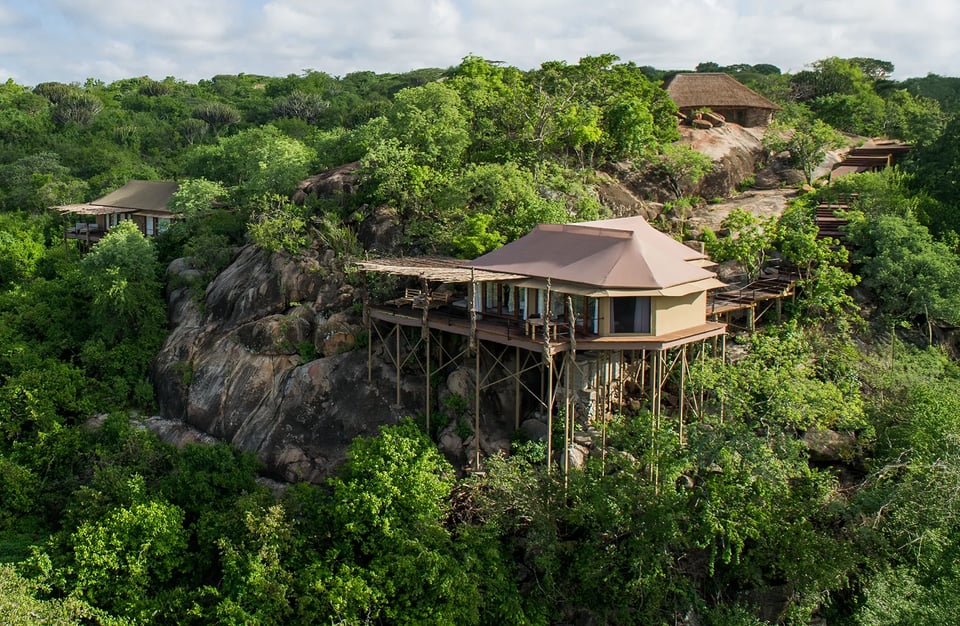 Mwiba Lodge, how it began