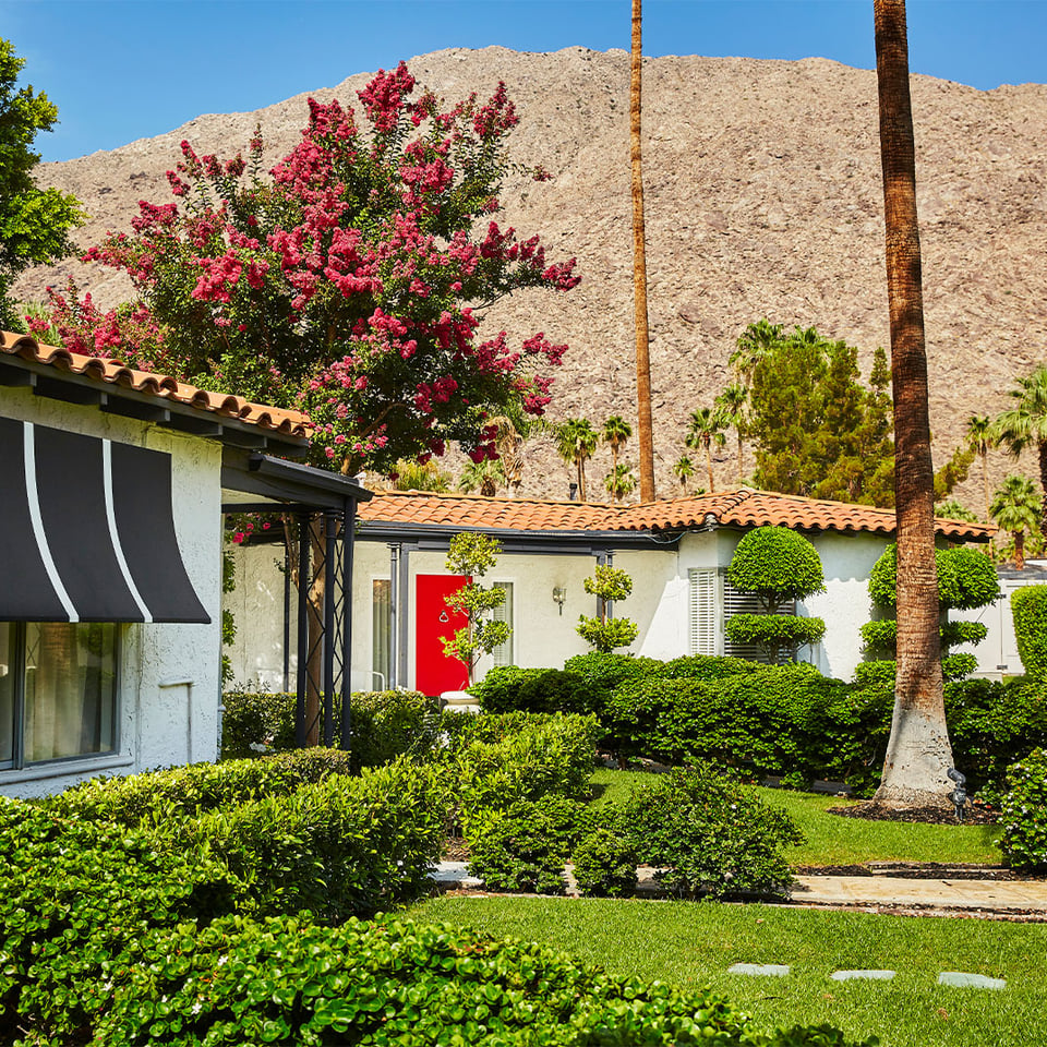 Avalon Hotel & Bungalows Palm Springs, how it began