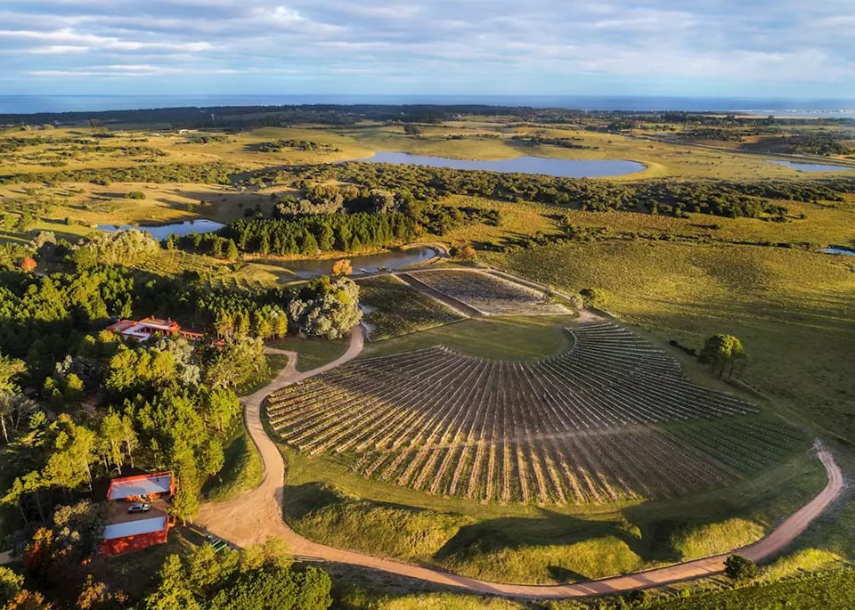 LUZ Culinary Wine Lodge, how it began