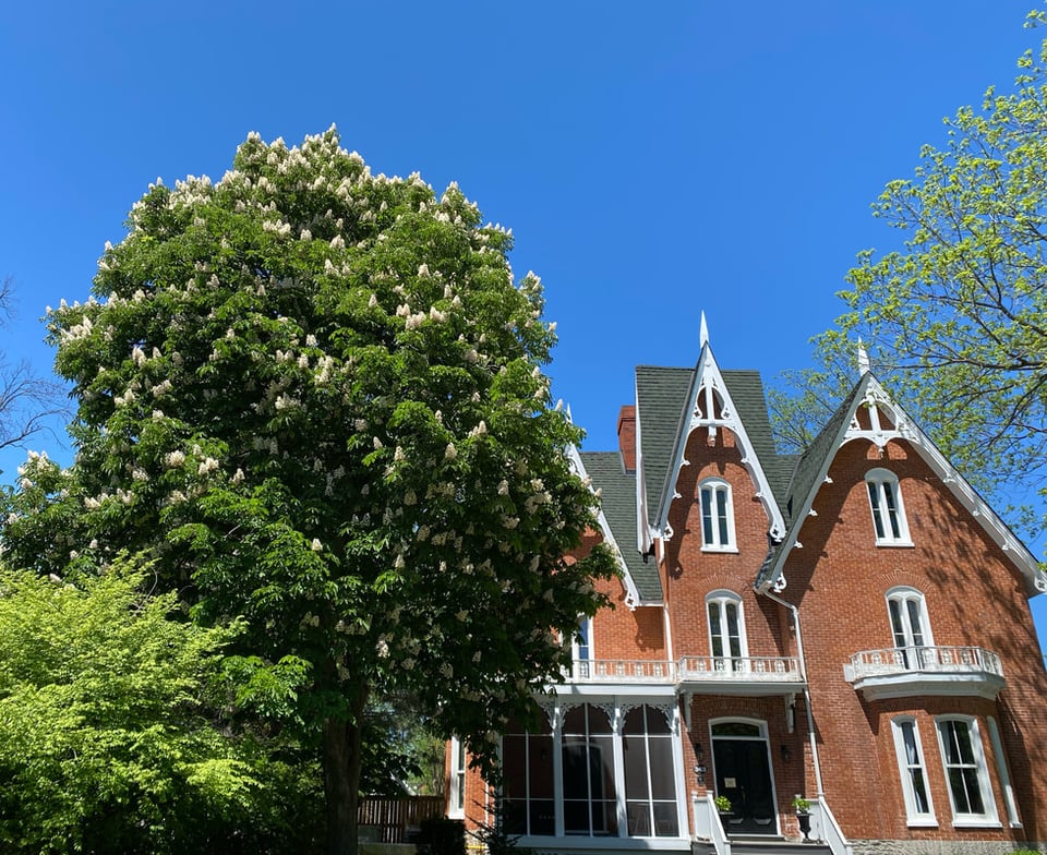 Merrill House, how it began
