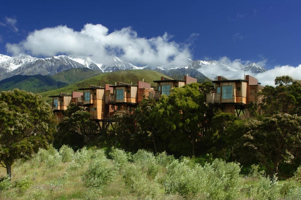 Hapuku Lodge + Tree Houses, how it began