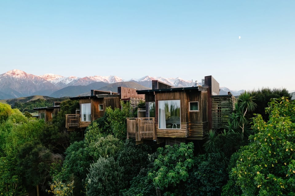 Hapuku Lodge + Tree Houses
