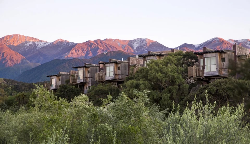 Hapuku Lodge + Tree Houses, how it began