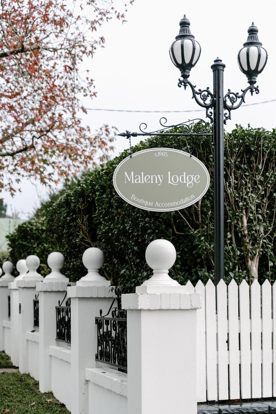 Maleny Lodge, how it began