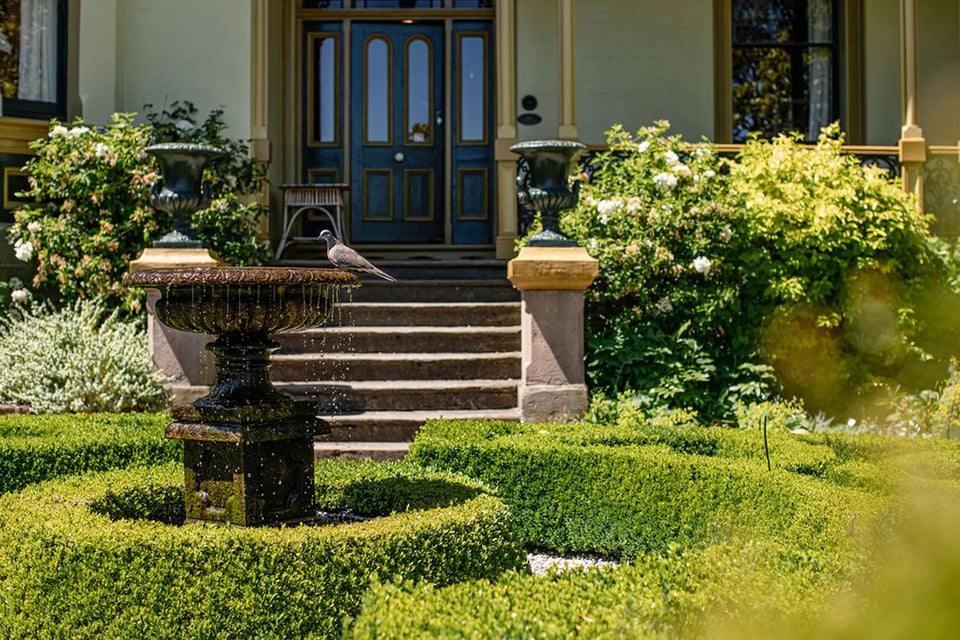 The Corinda Collection, how it began