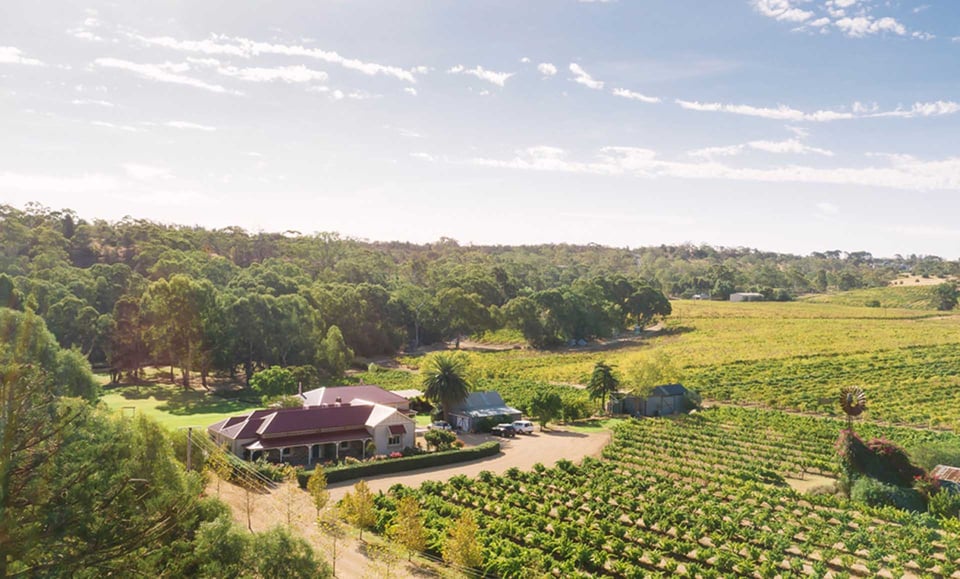 Le Mas Barossa, how it began