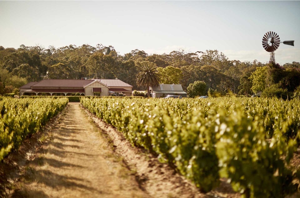 Le Mas Barossa, how it began