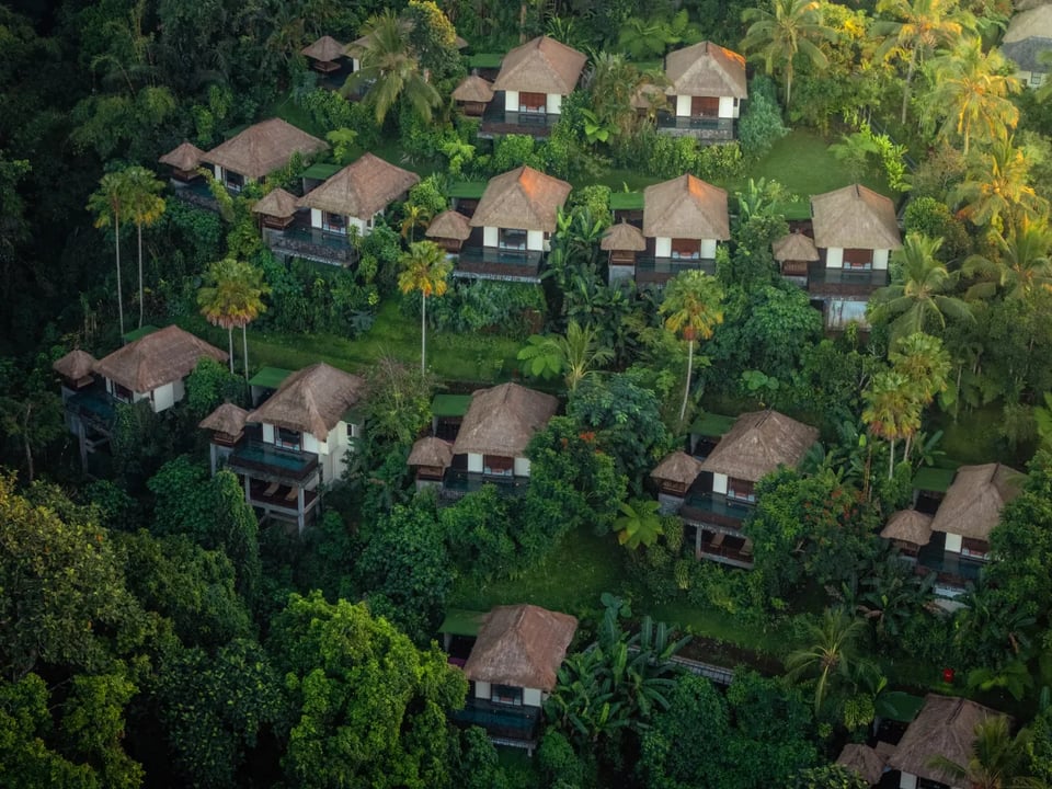Hanging Gardens Of Bali, how it began