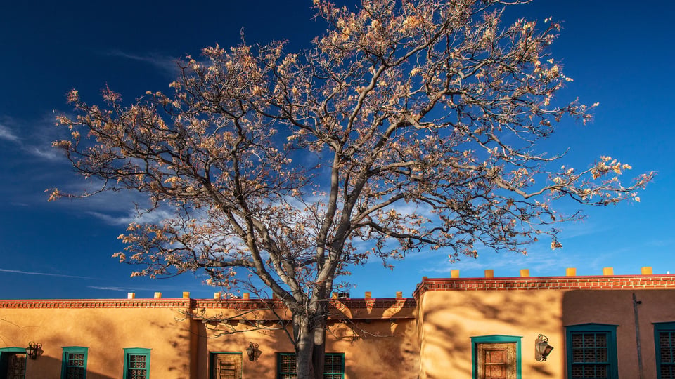 The Inn of The Five Graces, how it began