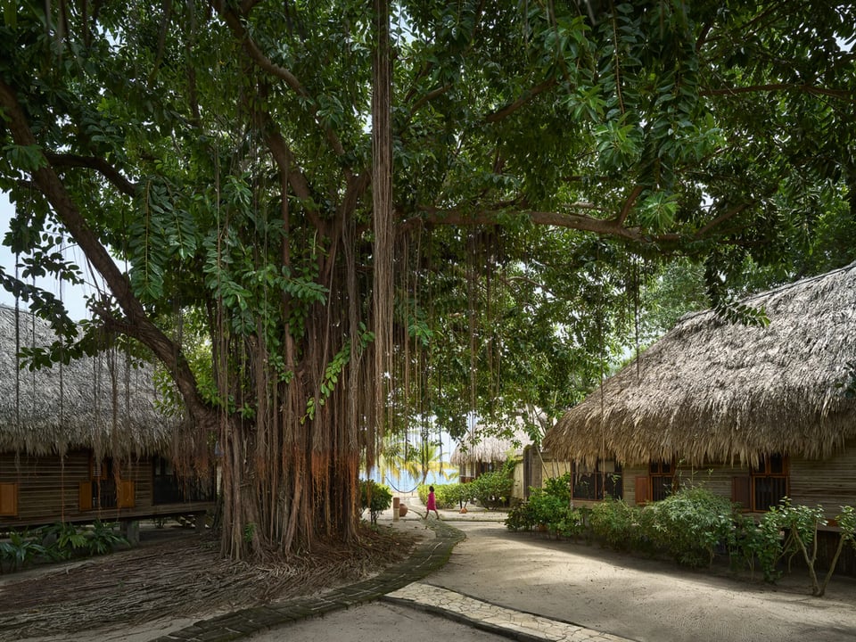 Turtle Inn