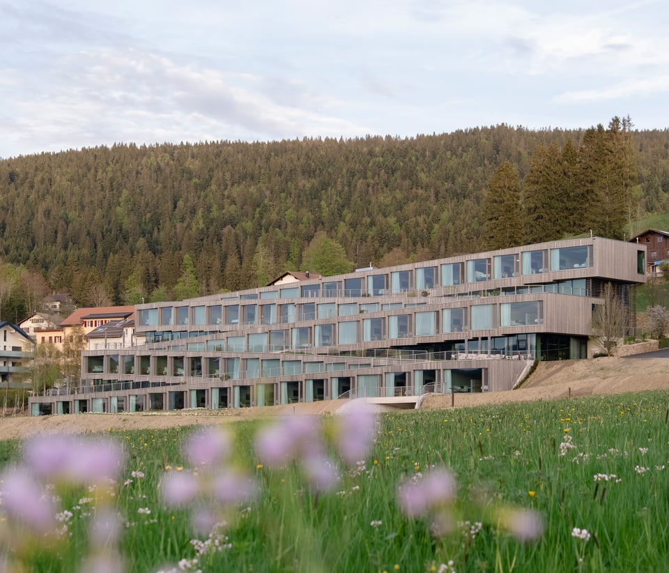 Hôtel des Horlogers, how it began
