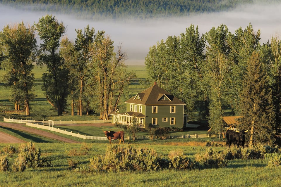 Paws Up Montana, how it began