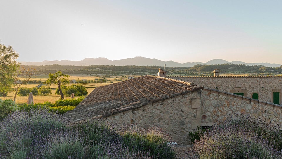 Casa Palerm, how it began