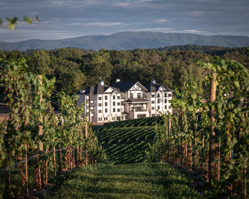 Nicewonder Farm & Vineyards