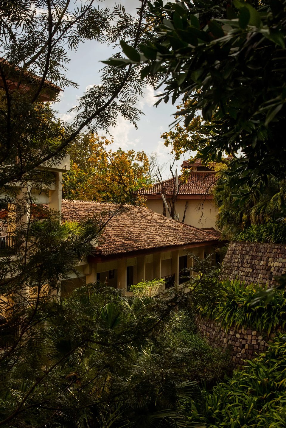 Ananda In The Himalayas, how it began