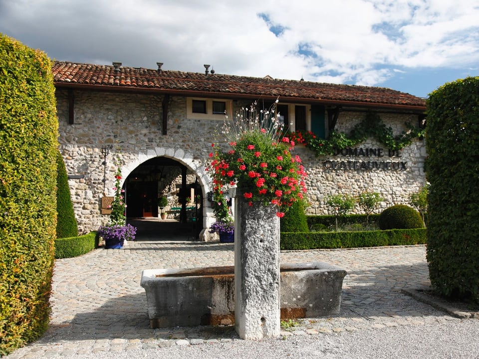 Domaine de Châteauvieux, how it began