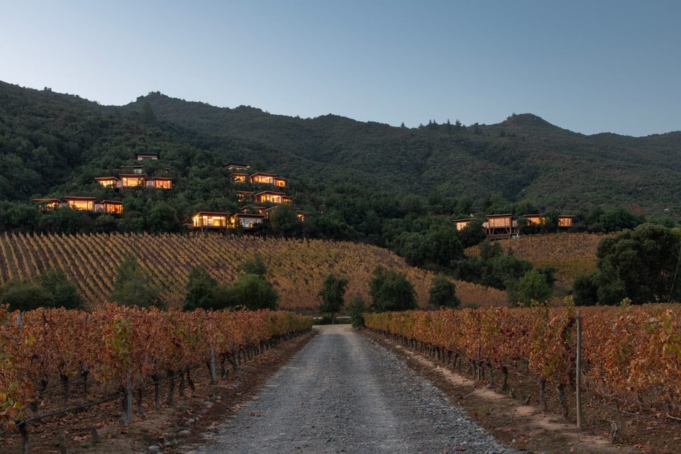 Clos Apalta Residence, how it began