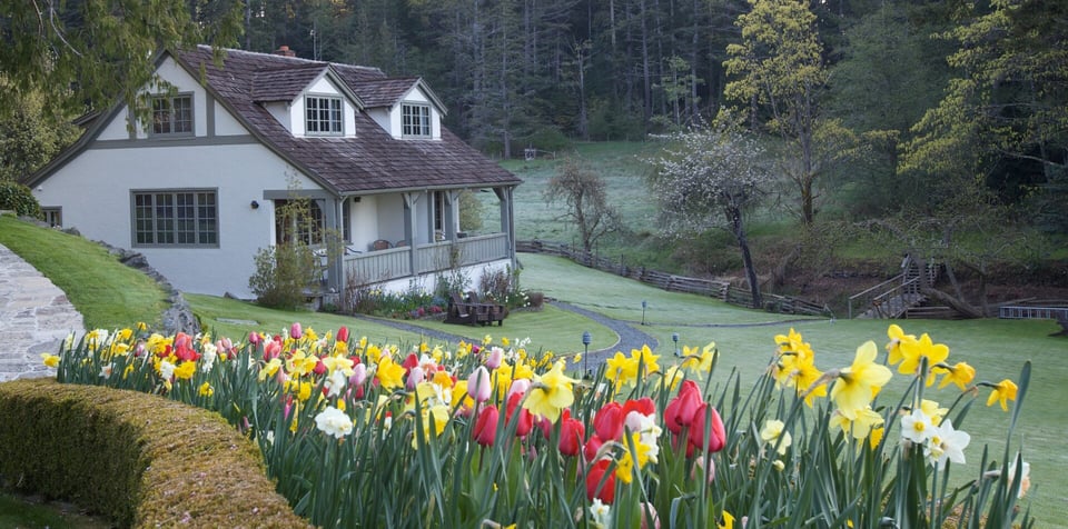 Hastings House Country House Hotel, how it began