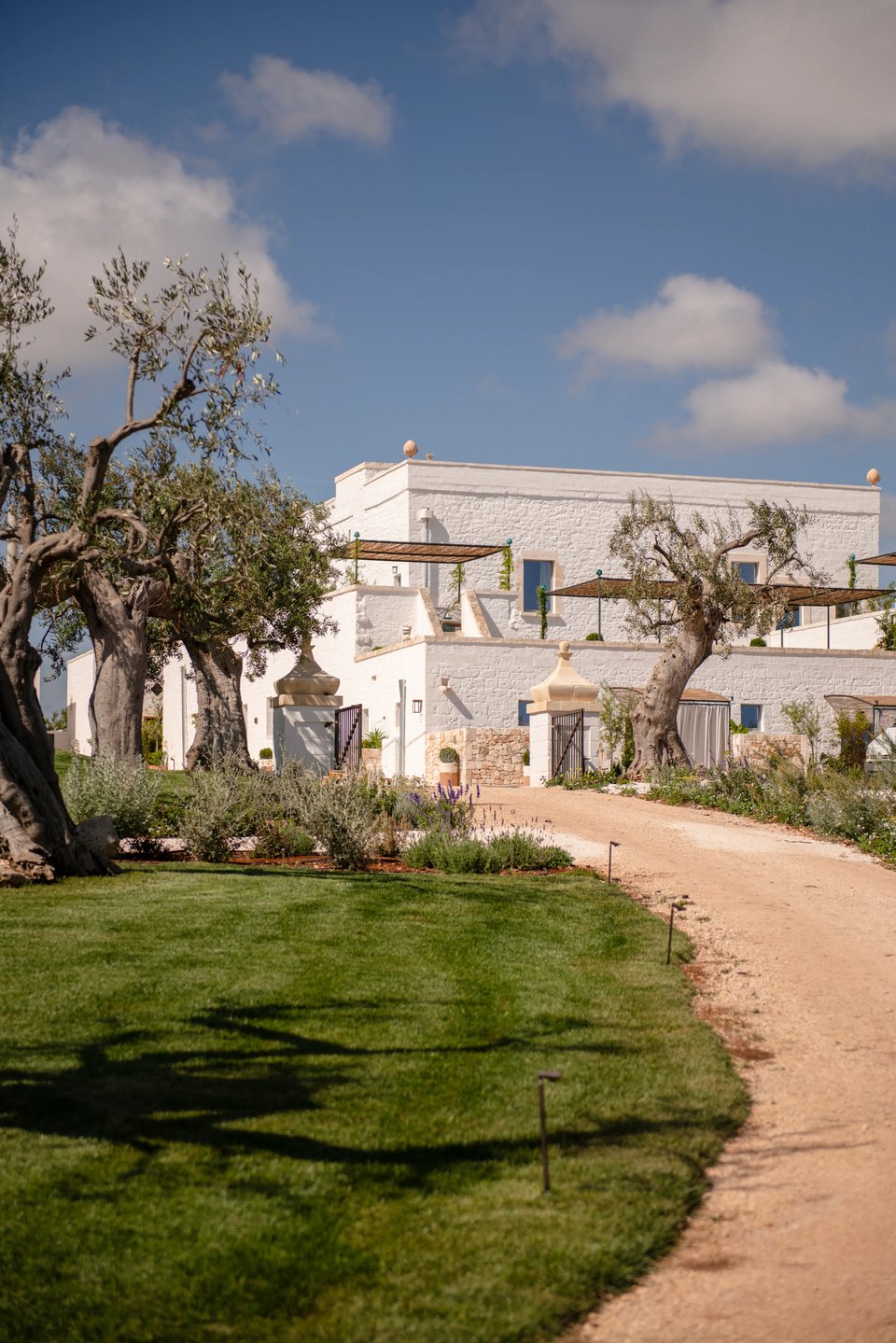 Masseria Auraterrae, how it began