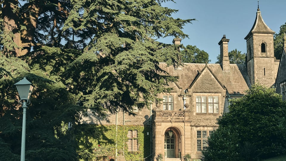 Wildhive Callow Hall, how it began