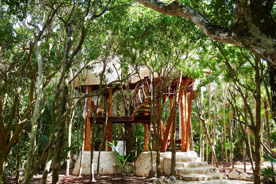 Papaya Playa Project, how it began