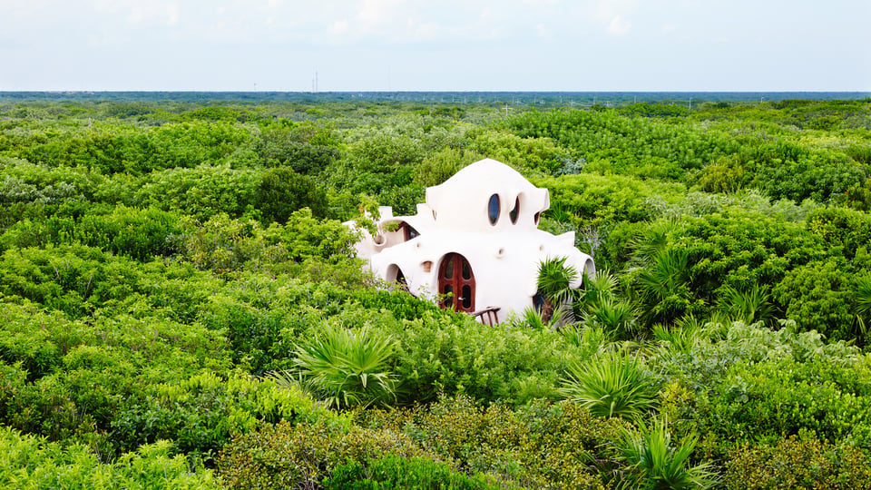 Papaya Playa Project, how it began