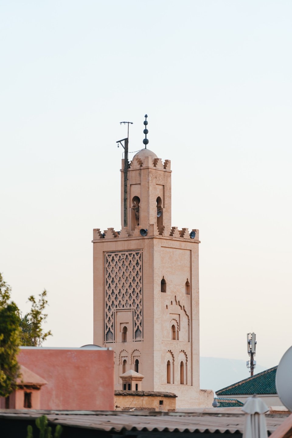 Riad Botanica