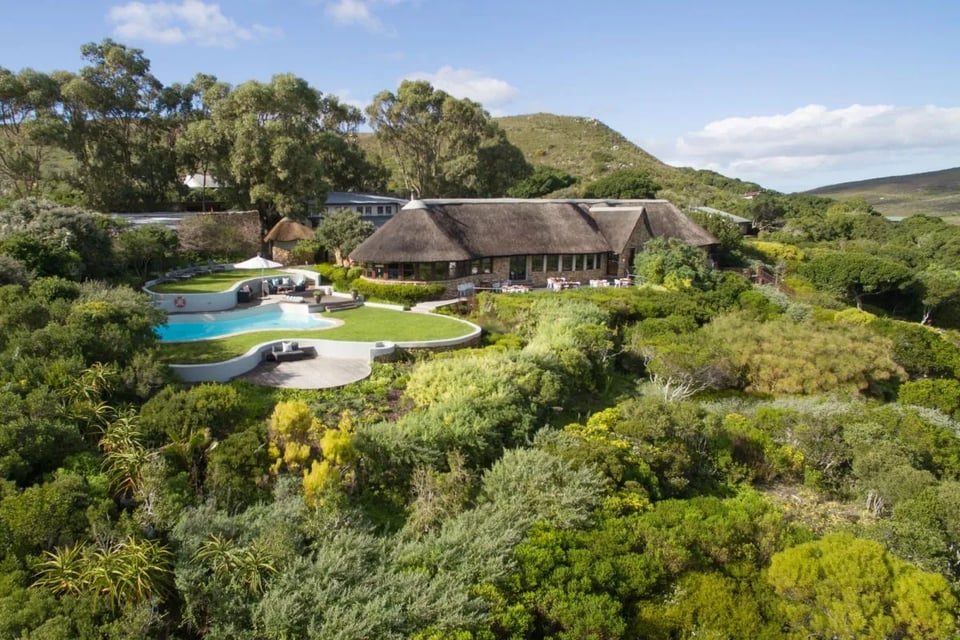 Grootbos Private Nature Reserve, how it began