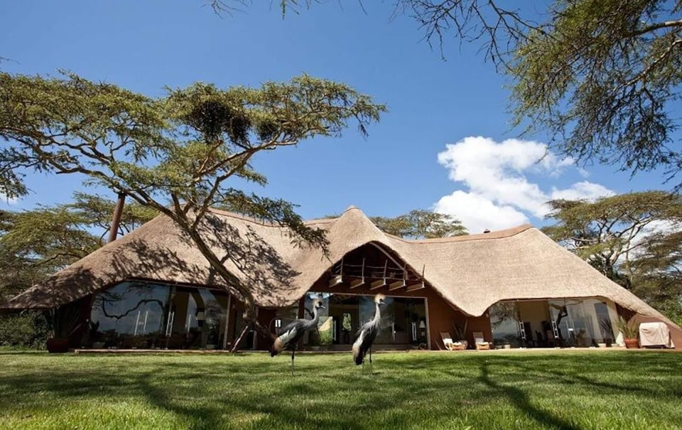 Solio Lodge, how it began