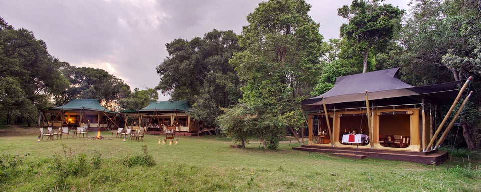 Elephant Pepper Camp, how it began