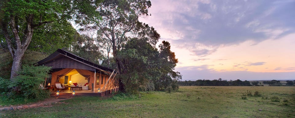 Elephant Pepper Camp, how it began