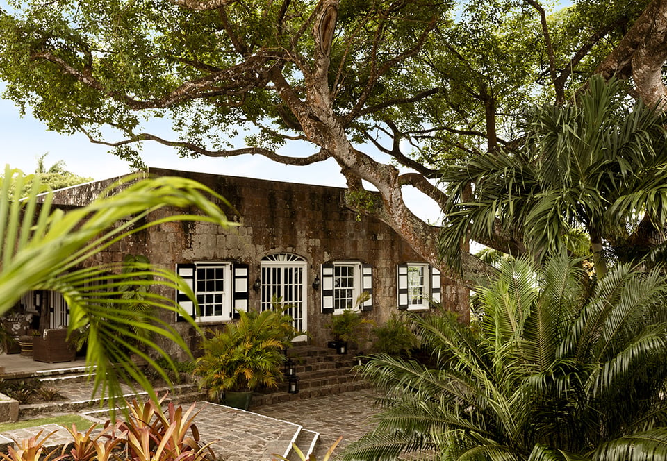 Montpelier Nevis, how it began
