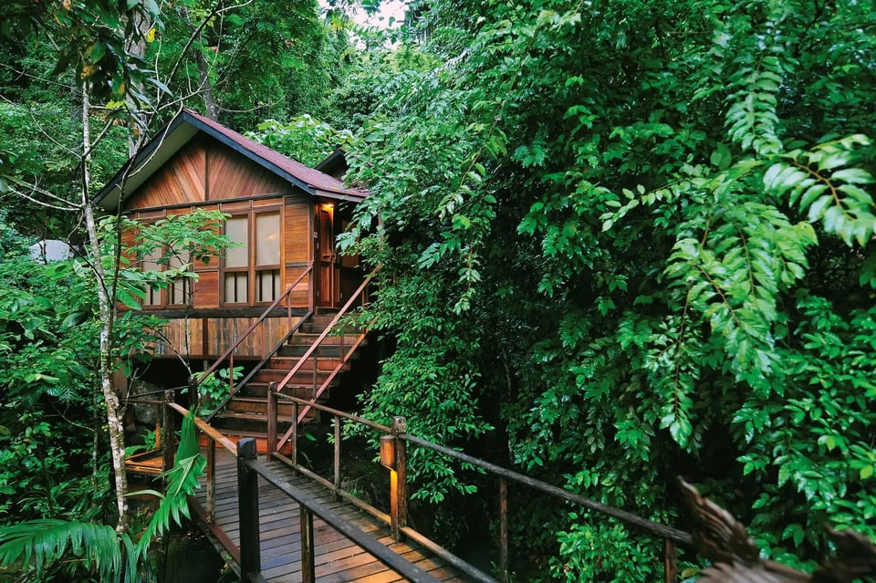 Japamala Resort, how it began
