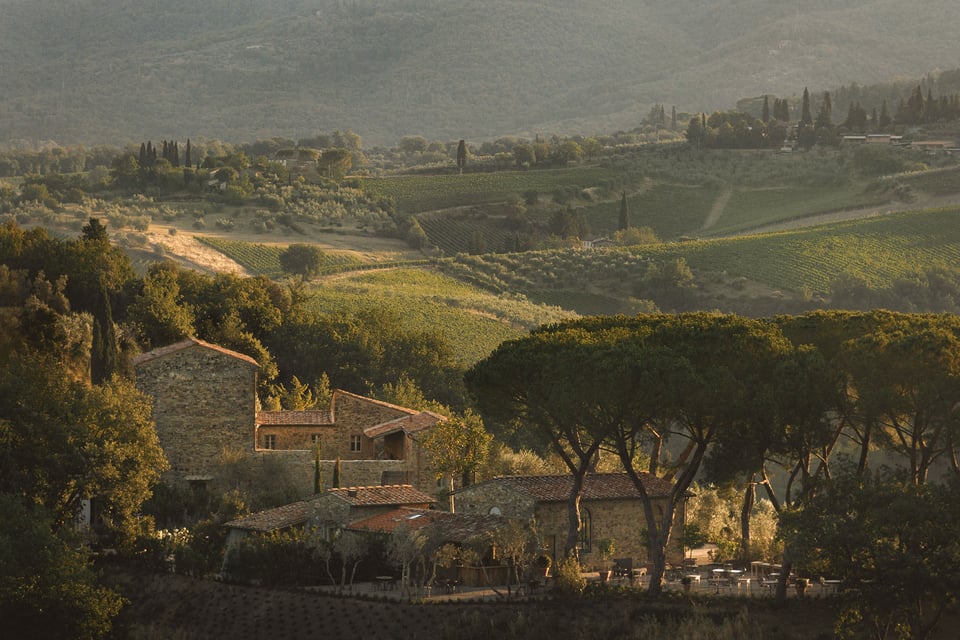 La Darbia in Chianti, how it began