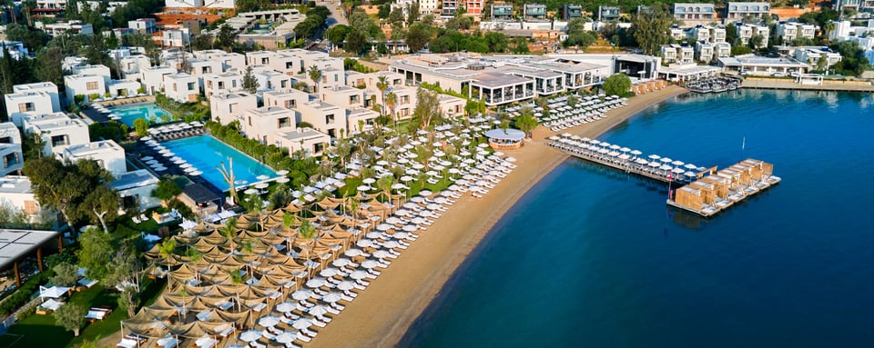Voyage Torba, how it began