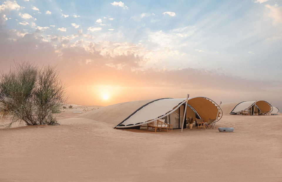 The Nest by Sonara