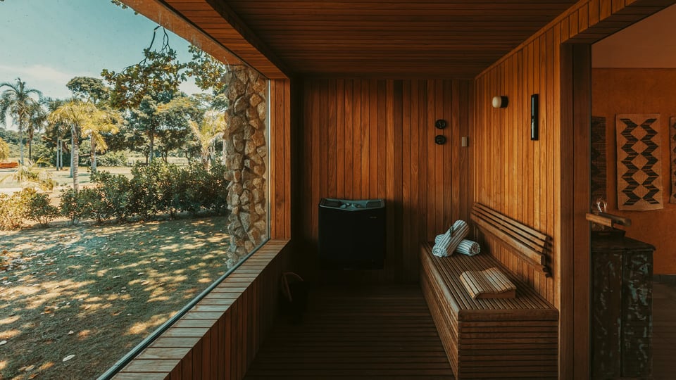 Caiman, Pantanal, the spa
