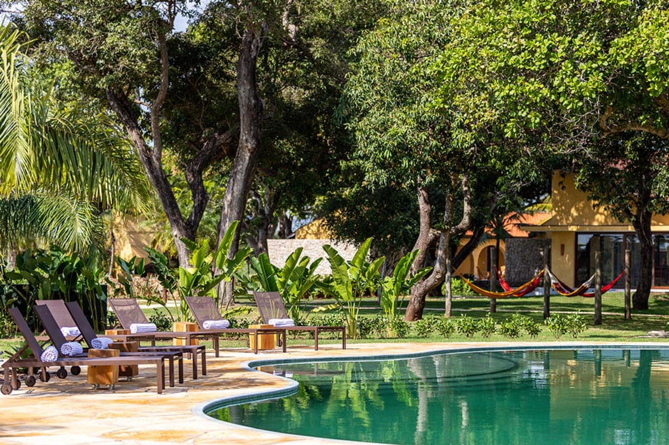 Caiman, Pantanal, the pool