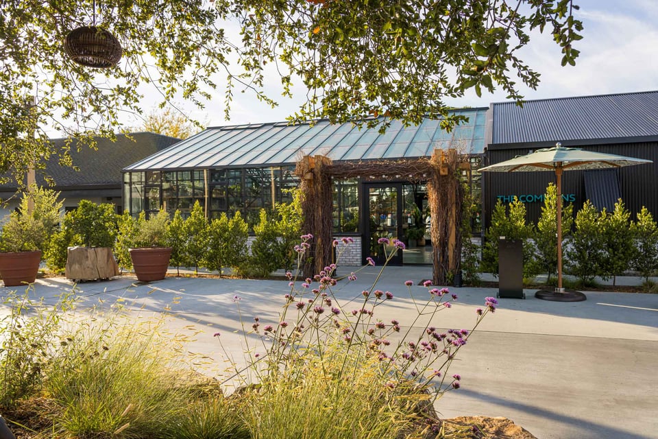 Treehouse Hotel Silicon Valley, how it began