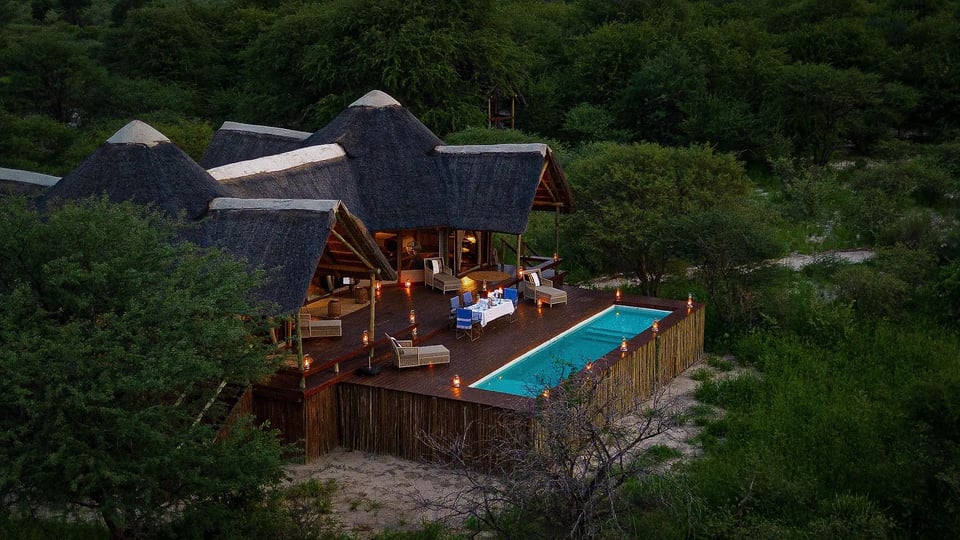 The Lodge at Feline Fields, how it began