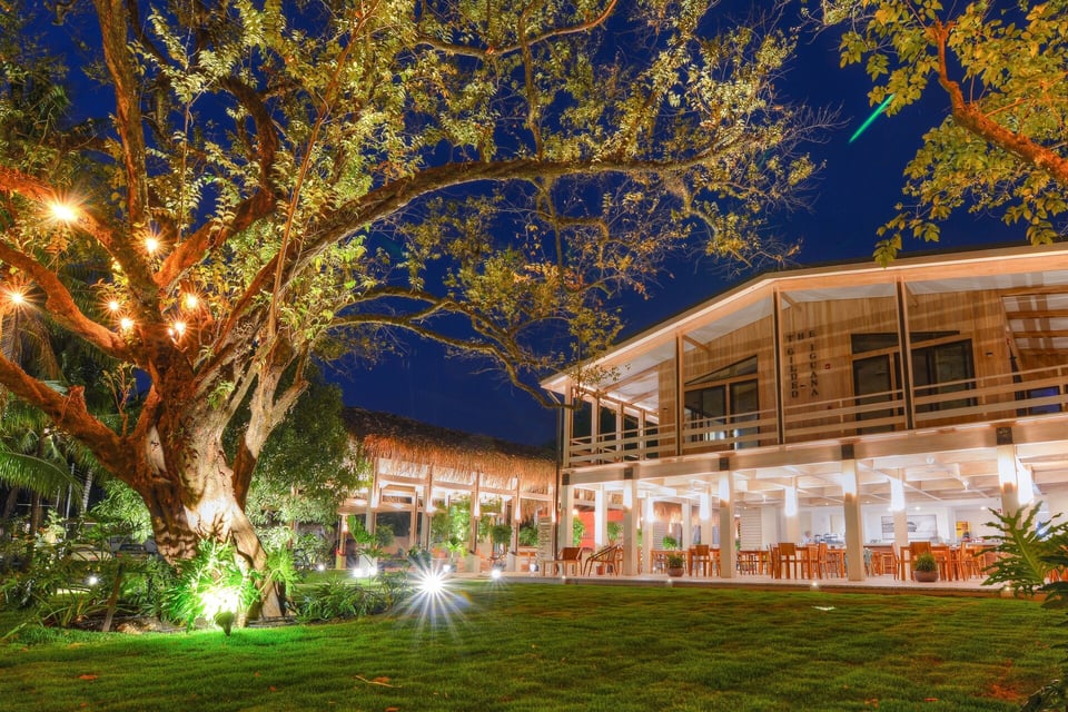 The Gilded Iguana, how it began