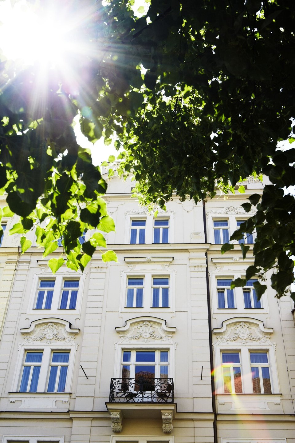Hotel Maximilian, how it began