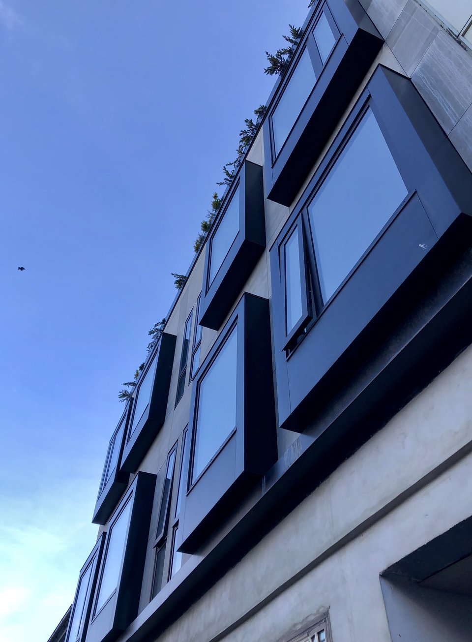 Ion City Hotel, how it began