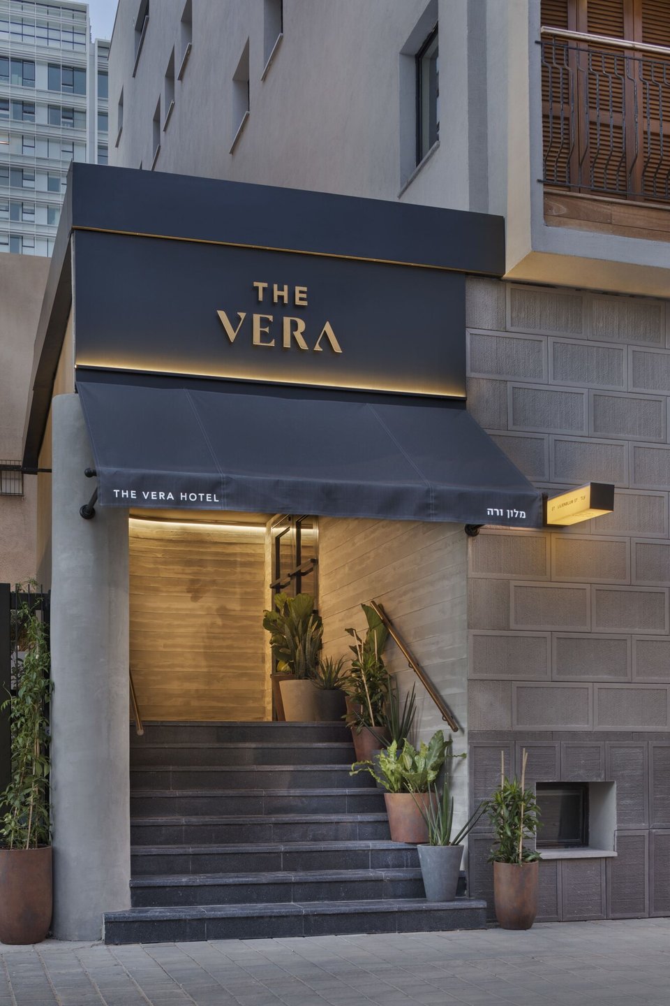 The Vera Hotel, how it began
