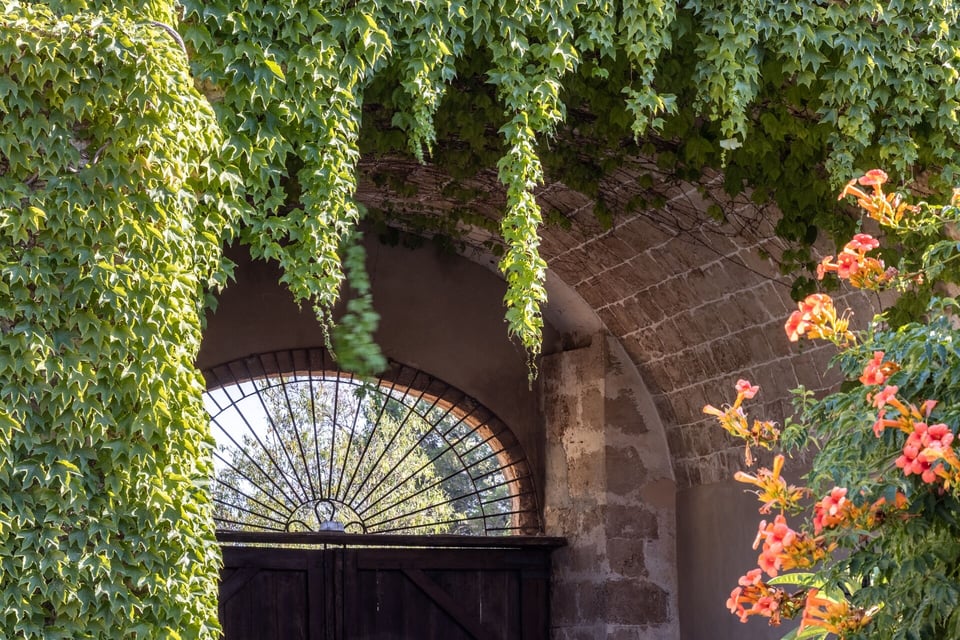 Masseria Costanza, how it began