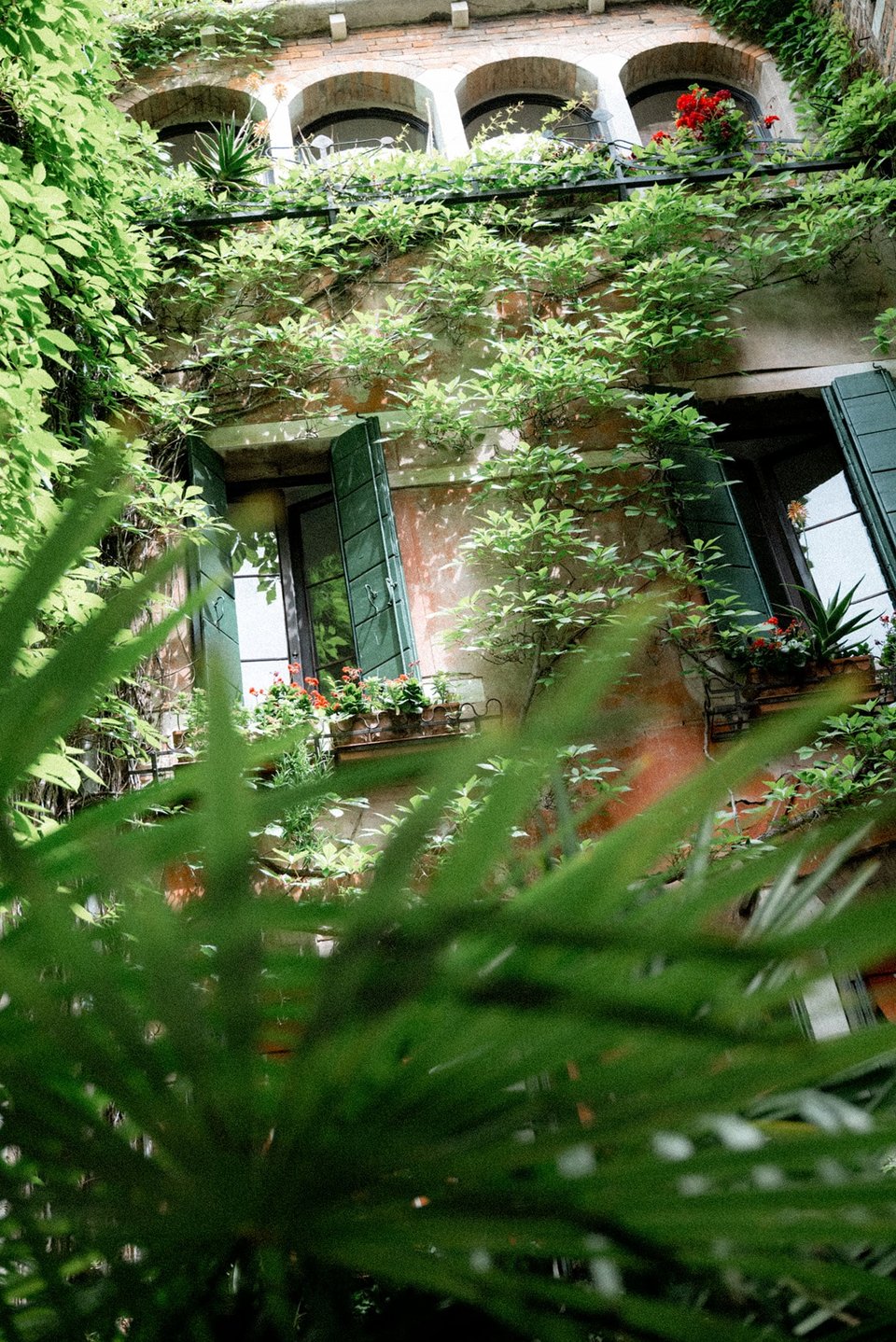 Hotel Flora, how it began